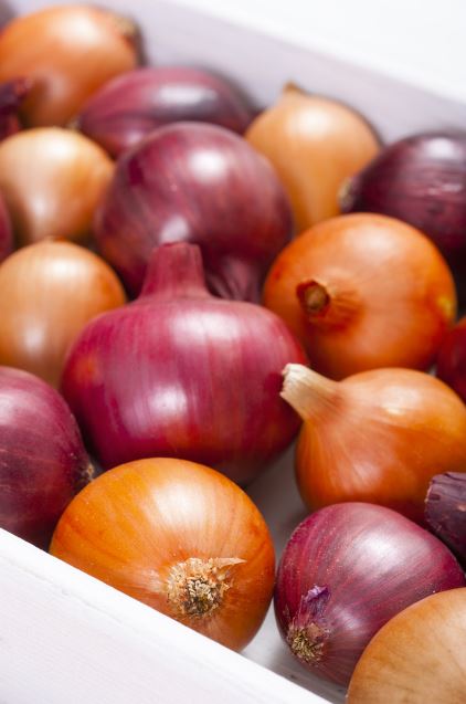 Air Freight Shipping