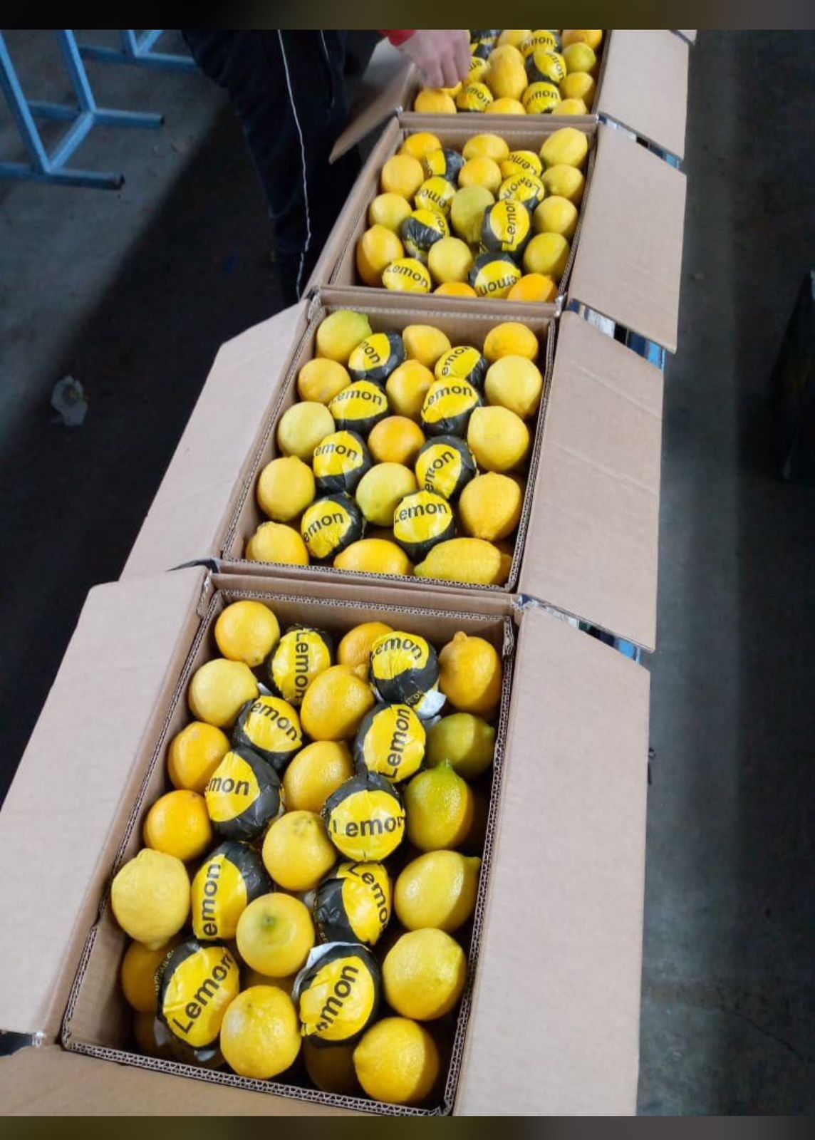 Air Freight Shipping