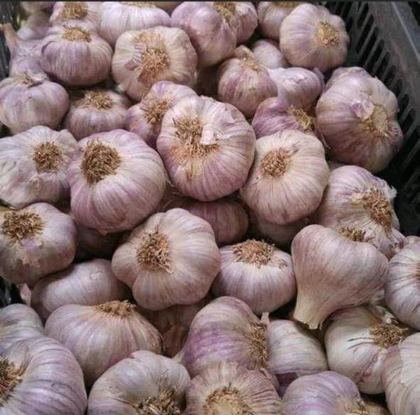 Air Freight Shipping